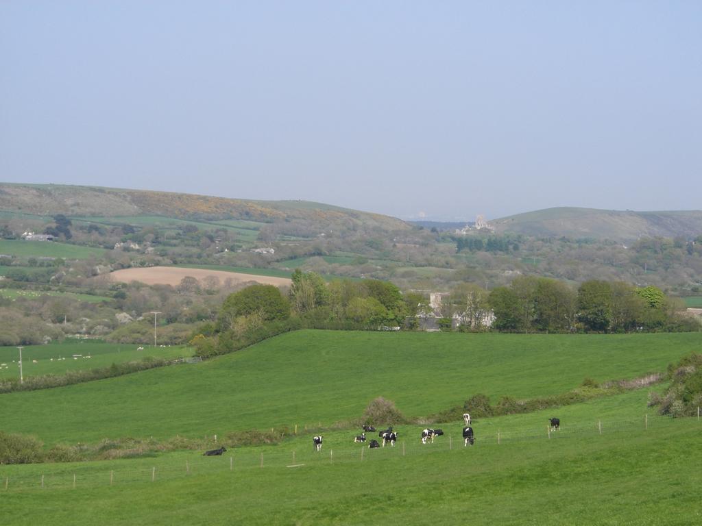 Bradle Farmhouse Corfe Castle Zewnętrze zdjęcie